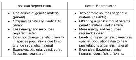 Home » science » biology » difference between sexual and asexual reproduction. Reproduce (Asexual and Sexual) — Characteristics of Life ...