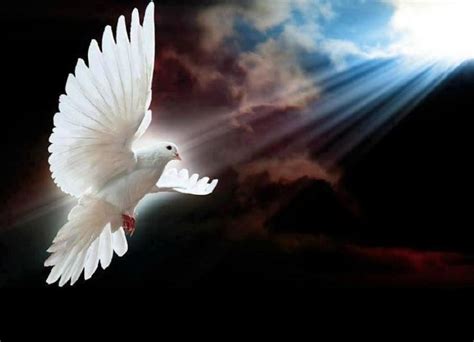 Angels Angel Engel Engelen Mystic Holy Spirit White Doves Beautiful
