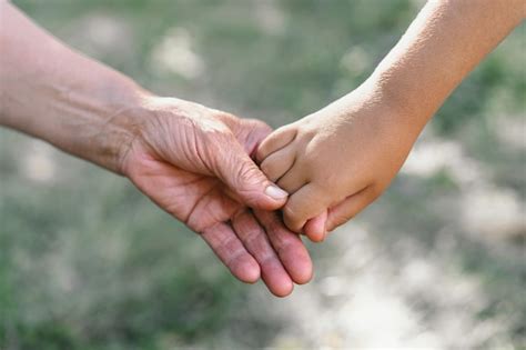 Premium Photo Childs Hand And Old Hand Grandmother Hold Heart