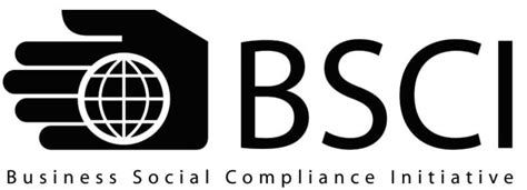 Bsci And Ics Merger Of Social Compliance Initiatives Successfully