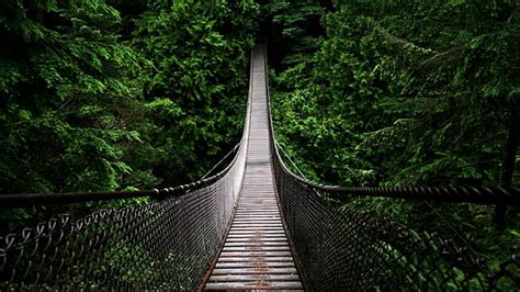 Hd Wallpaper Parks Rivers Bridges Trees Nature Black Wooden Bridge