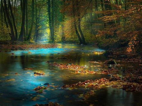 A Magickal Autumn Beautiful World Beautiful Images Beautiful Forest