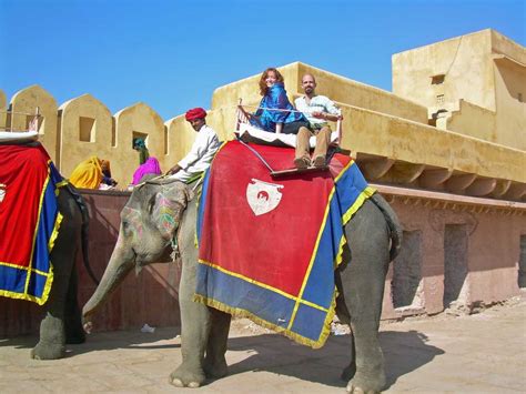 Elephant Ride In Jaipur Amber Fort Elephant Ride Details