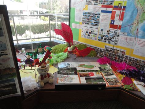 Another View Of The North And South America Display College Library