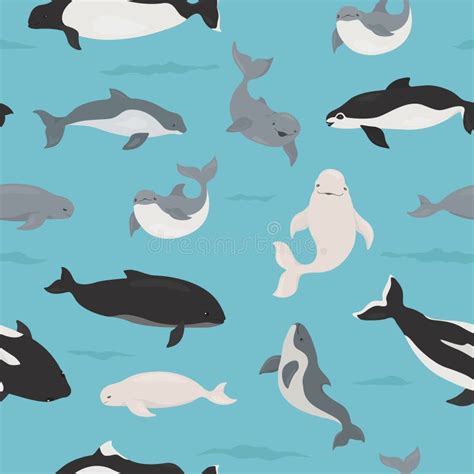 Marine Mammals Collection Different Porpoises Set Stock Vector