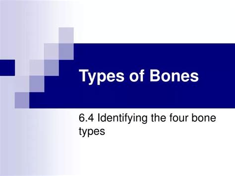 Ppt Types Of Bones Powerpoint Presentation Free Download Id2754374