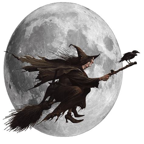 Scary Witch On Broomstick Transparent Image Halloween Png Images With