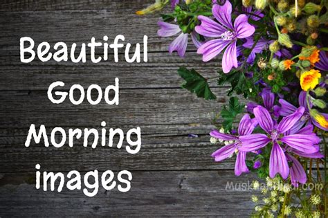 Best 250 Beautiful Good Morning Images Quotes And Wishes 2024