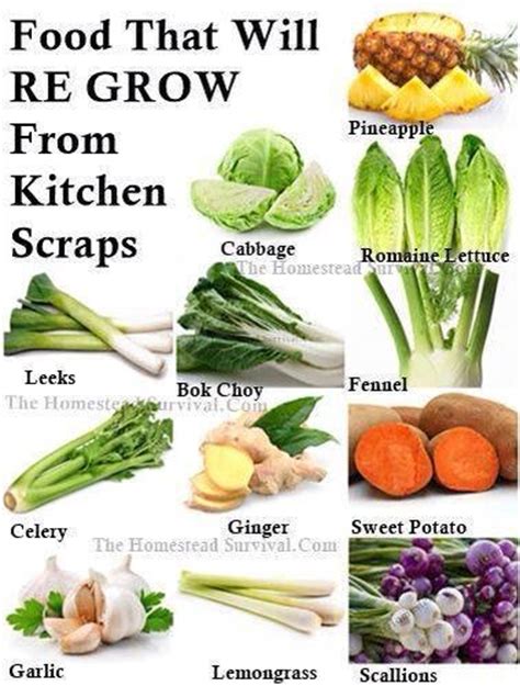Plants To Grow From Kitchen Scraps My Board Pinterest