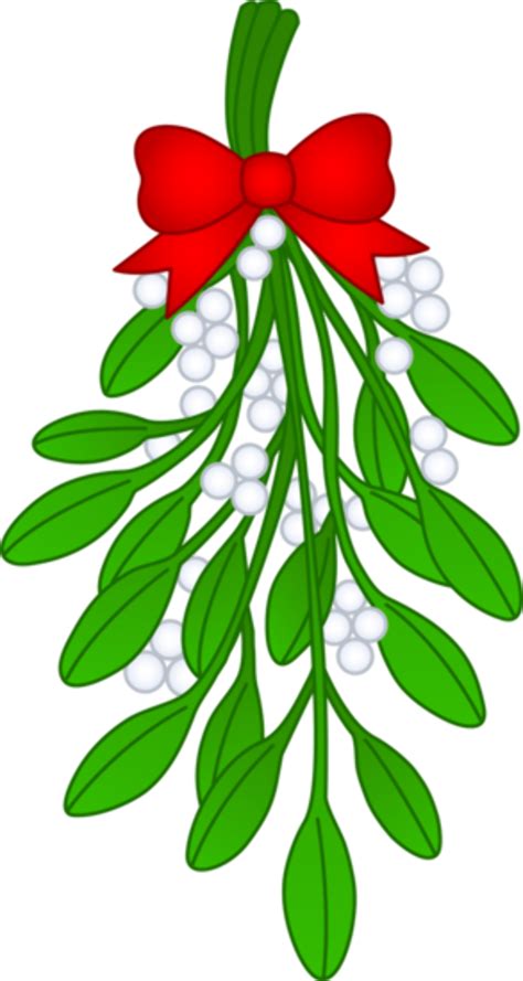 Download High Quality Mistletoe Clipart Hanging Transparent Png Images