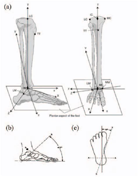 Figure 1 From Development And Evaluation Of Ankle Muscle Trainer With