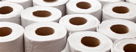 Toilet Paper And Bathroom Products Wholesale Toiletpaperworld