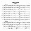 Haydn - Oboe Concerto in C major Hob.VIIg:C1 | Minus Music