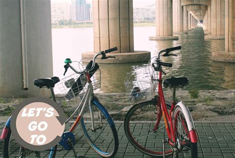 Lets Go To The Han River And Rent Bikes Hedgers Abroad