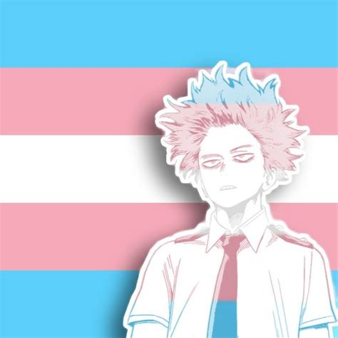 Shinsou Hitoshi Pfp Trans Flag