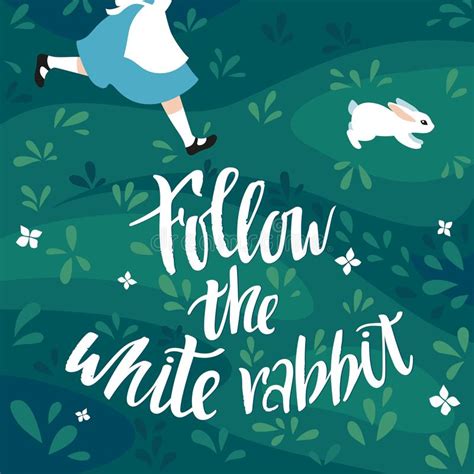 Follow White Rabbit Stock Illustrations 123 Follow White Rabbit Stock