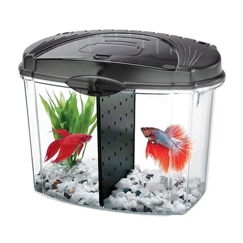 AQUEON Betta Fish Tank Starter Kit Half Gallon Black Amazon Co Uk Pet Supplies