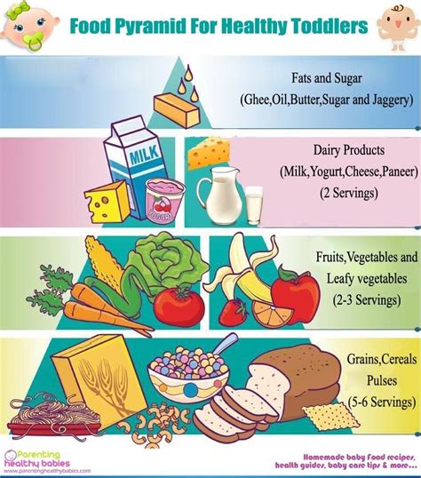 Food Pyramid And Vegetarian Balanced Diet For Your Super Healthy