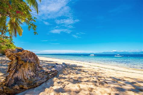 Best Beaches In Cebu Philippines