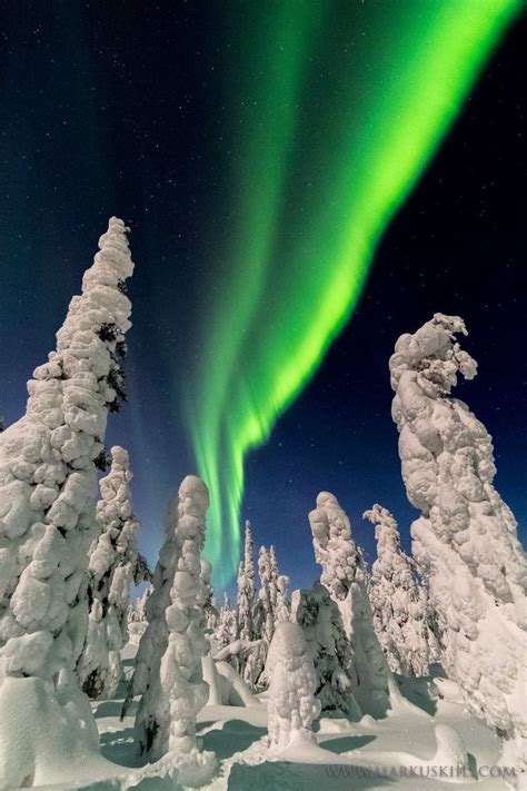 Winter wonderland | Northern lights photo, Nature, Lappland