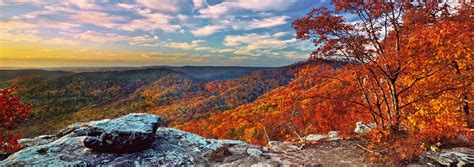 Autumn Spectacle Ozark National Forest Arkansas Fine Art