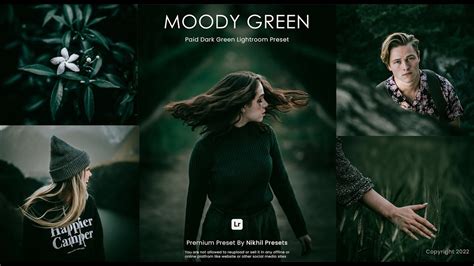 Premium Moody Green Lightroom Preset Dark Green Preset DNG XMP