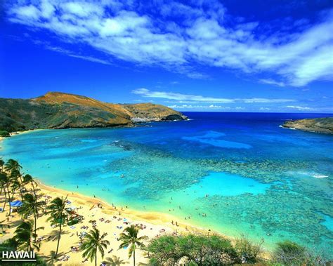 Free Download Hawaii Wallpaper Hd Backgrounds Images Pictures