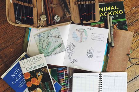 How To Keep A Nature Journal