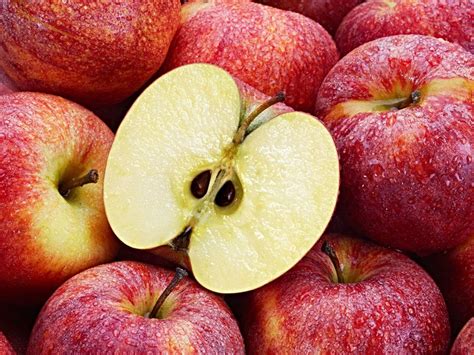 Can Apple Seeds Kill You Britannica