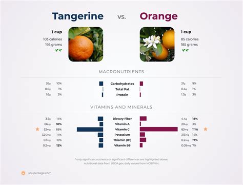 1 Mandarin Orange Nutrition Facts Besto Blog