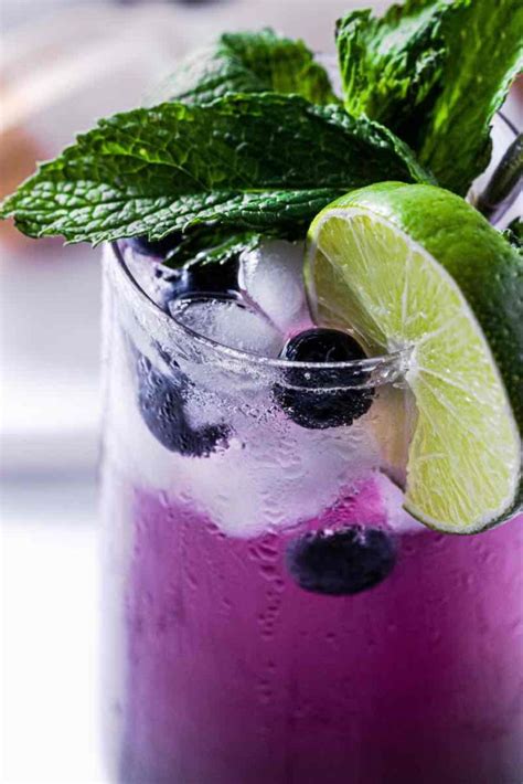 Blueberry Mojito Mocktail Pretty Delicious Life