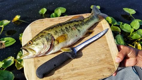 Grilled Whole Largemouth Bass Recipes