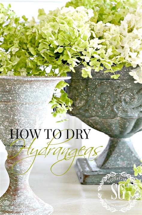 How To Dry Hydrangeas The Easy Way Dried Hydrangeas Natural Fall