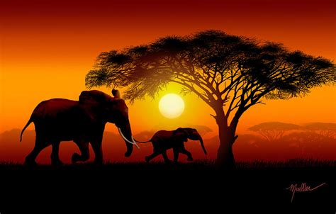 Mother And Baby Elephant African Sunset Painting By Henry