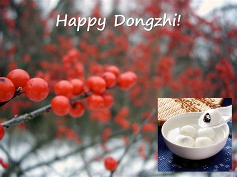 Some argue it's actually more important than the chinese new year! Happy Dongzhi! « AnimalCare
