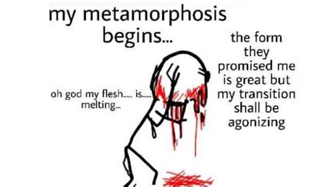 My Metamorphosis Begins Meme Trannie Blog