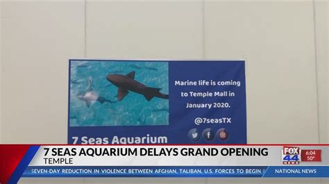 7 Seas Aquarium Opening Date Postponed Youtube