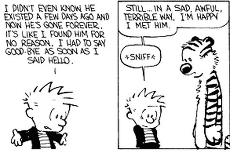 25 Great Calvin And Hobbes Strips Progressive Boink