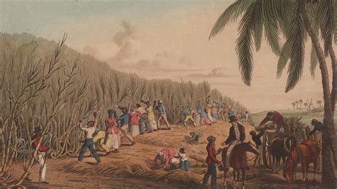 The Trade Route That Transported African Slaves To Americas Transport