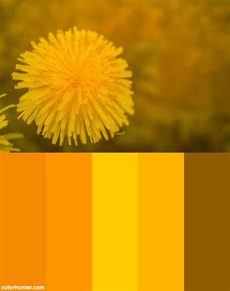 Dandelion In Yellow Color Palette Color Palette Yellow Dandelion