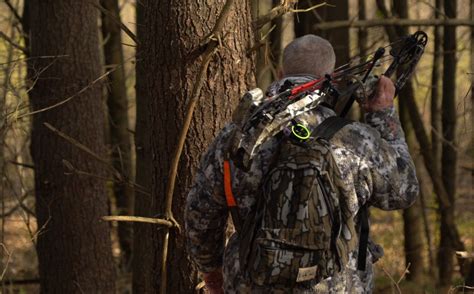 5 Ways To Sound Proof Your Deer Hunting Land Whitetail