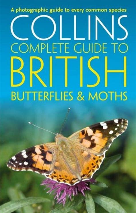 Collins Complete Guide To British Butterflies And Moths A Photographic