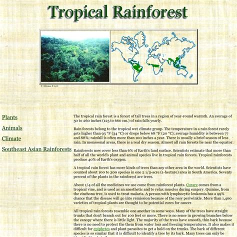 Rainforest Biomes Pearltrees