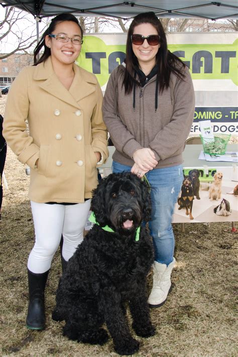 Onyx Is A Working Therapy Dog And A Fine Canine Drill Team Dog He Is A