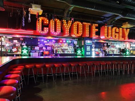 Coyote Ugly What You Never Knew Herald Sun