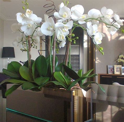 40 Amazing Orchid Arrangements Ideas To Enhanced Your Home Beauty Orchids Arrangement