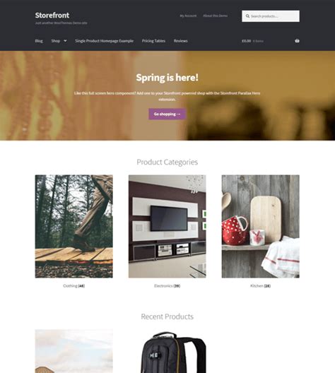 20 Best Free Ecommerce Wordpress Themes And Templates 2024