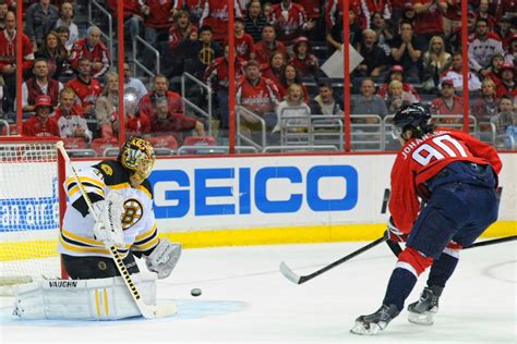 Boston Bruins Goaltender Tuukka Rask Inspires Wasp Species Name