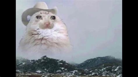 Sad Cat In A Cowboy Hat