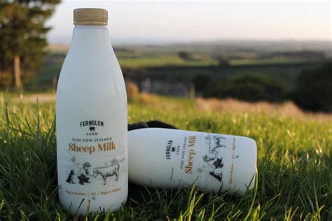 Artisan Sheeps Milk Producer Fernglen Farm Brings A New Taste To New